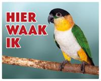 Caipe Papegaai Waakbord - Hier Waak Ik - thumbnail