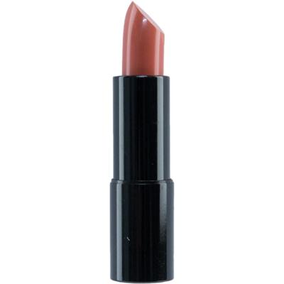 Sans Soucis Perfect Lips Every Day Lipstick 42 Touching Cashmere 4gr