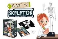 Skelet - BUKI meerkleurig - thumbnail