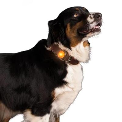 Nightwalk Safety Light Orange