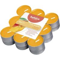 Bolsius geurtheelicht true scents mango 18 stuks - thumbnail