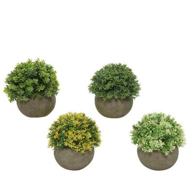 Decoratieve plant Everlands Ø 12 cm Bloempot Plastic