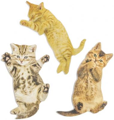 Kat Nagelvijl (Assorti)