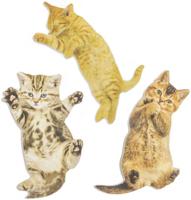 Kat Nagelvijl (Assorti) - thumbnail