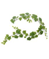 Druivenblad guirlande kunsthanger 180cm - groen - thumbnail