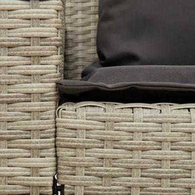 Tuinbank 5-zits met kussens poly rattan lichtgrijs
