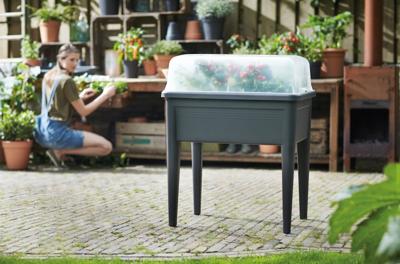 Elho green basics kweekhuis xxl transparant