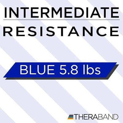 Theraband Loops 30 cm/12" - thumbnail