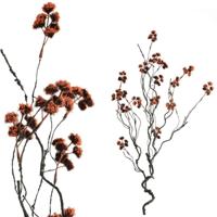 Berry plant red curvy sprays - thumbnail