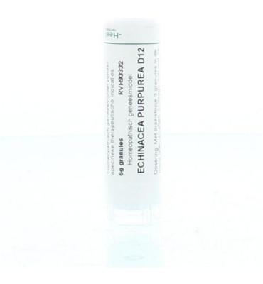 Homeoden Heel Echinacea purpurea D12 6 Gram