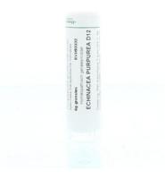 Homeoden Heel Echinacea purpurea D12 6 Gram - thumbnail