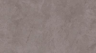 Exigo Jolie Grey wandtegel gepolijst 30,5x56 rett Exigo Jolie Grey wandtegel gepolijst 30,5x56 rett