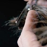 Dark Stag Scissors Offset Thinner Barber Scissors DS+ 6" 1Stuks - thumbnail