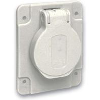 Schneider Electric PKS61G Stopcontact (inbouw) IP54, IK08 Grijs
