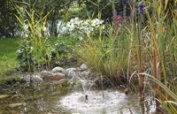 P. solar 150 Pontec - Pontec - thumbnail