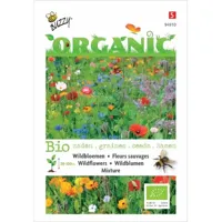 Biologische Wildbloemen - thumbnail