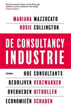 De consultancy industrie (Paperback)