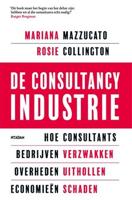 De consultancy industrie (Paperback) - thumbnail