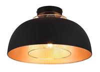 Trio Landelijke plafondlampPunch - R60811032 - thumbnail