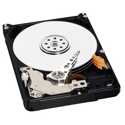 Western Digital AV-25 500 GB Harde schijf (2.5 inch) SATA II WD5000LUCT Bulk Western Digital AV-25 500 GB Harde schijf (2.5 inch) SATA II WD5000LUCT Bulk