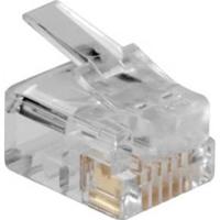 ACT TD106M RJ12 Modulaire Connector | Ronde Kabel | Massieve Aders | 25 stuks - thumbnail