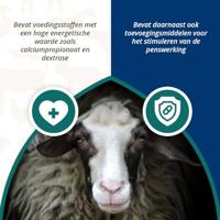 Ener Bolus Schaap & Geit - thumbnail