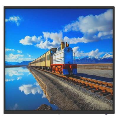 Monitor Dahua 1.0.99.12.10346-9001 Full HD Monitor Dahua 1.0.99.12.10346-9001 Full HD