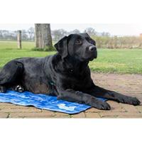 CoolPets Premium Cooling Mat XL (120x75cm) - thumbnail