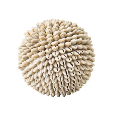 MUST Living Ornament 'Sand Shell' Schelpen