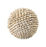 MUST Living Ornament 'Sand Shell' Schelpen - thumbnail