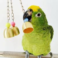 2 PC'S creatieve huisdier benodigdheden Parrot koperen Bell speelgoed - thumbnail