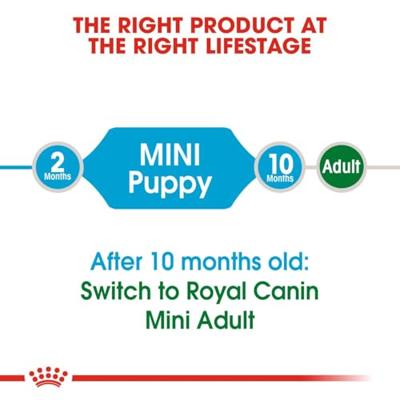 Royal Canin mini voer voor puppy 2kg - thumbnail