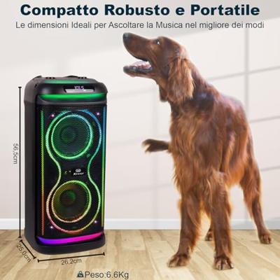 Draagbaar luidsprekersysteem Trevi Trevi XF 650 KB Bluetooth luidspreker