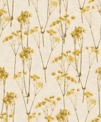 Decoprint Herbarium Behang met katoentakken - HE27242