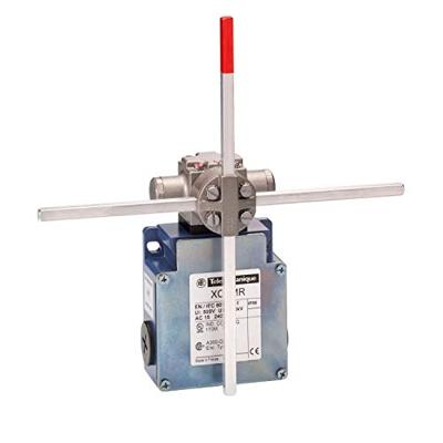 Telemecanique XCKMR54D1H29 XCKMR54D1H29 Eindschakelaar IP66 1 stuk(s)