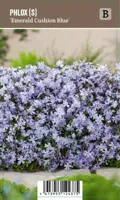 V.I.P.S. Phlox subulata ''Emerald Cushion Blue'' - Kruipphlox (P9) - thumbnail