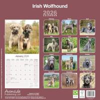 Ierse Wolfshond Kalender 2026 - thumbnail