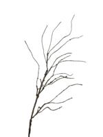 Roberts Collection Kunsttak twig bruin 110cm - thumbnail
