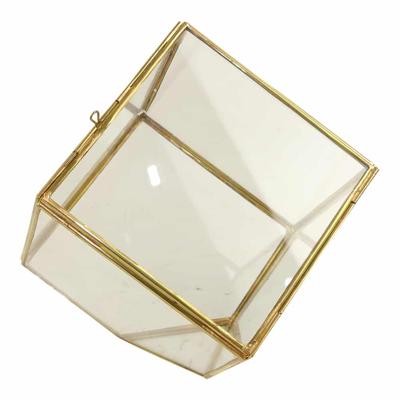 Terrarium van Glas en Messing Medium Terrarium van Glas en Messing Medium