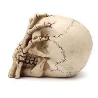 Schedel Hoofd met Skelet Klauw Woonaccessoire - thumbnail