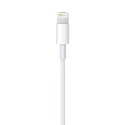 Lightning naar USB-kabel - APPLE - 1 m