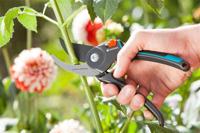 Gardena Gardena Comfort Snoeischaar B/M - thumbnail