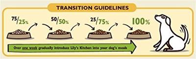 Lily's Kitchen dog wild campfire stew
