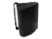 Visaton WB 16 6.25 inch fullrange speaker - thumbnail