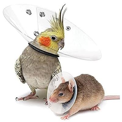 Elizabethaanse halsband voor knaagdieren KVP Transparant 7.5-10 cm