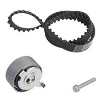 Distributieriemset 530048110 - thumbnail