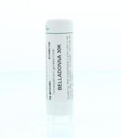 Homeoden Heel Belladonna 30K 6 Gram - thumbnail