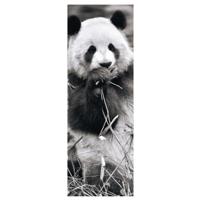 DinoToys Dino puzzel - panorama panda in het gras - 1000 stukjes - thumbnail