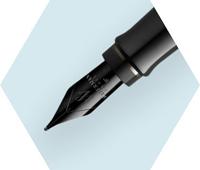 Waterman Expert Gold RT vulpen - thumbnail