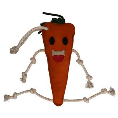 Excellent Horse Foodie Friends Carrot